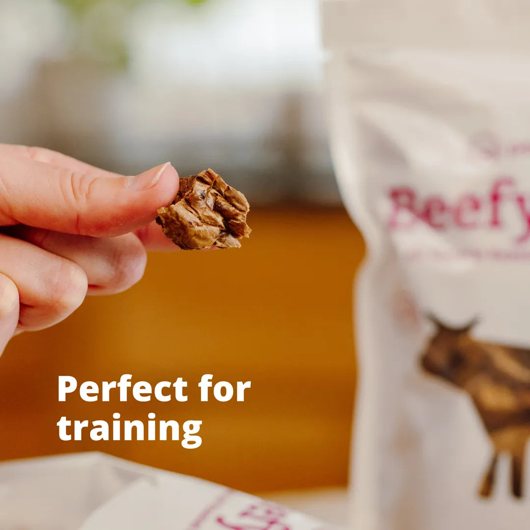 Perfect for training