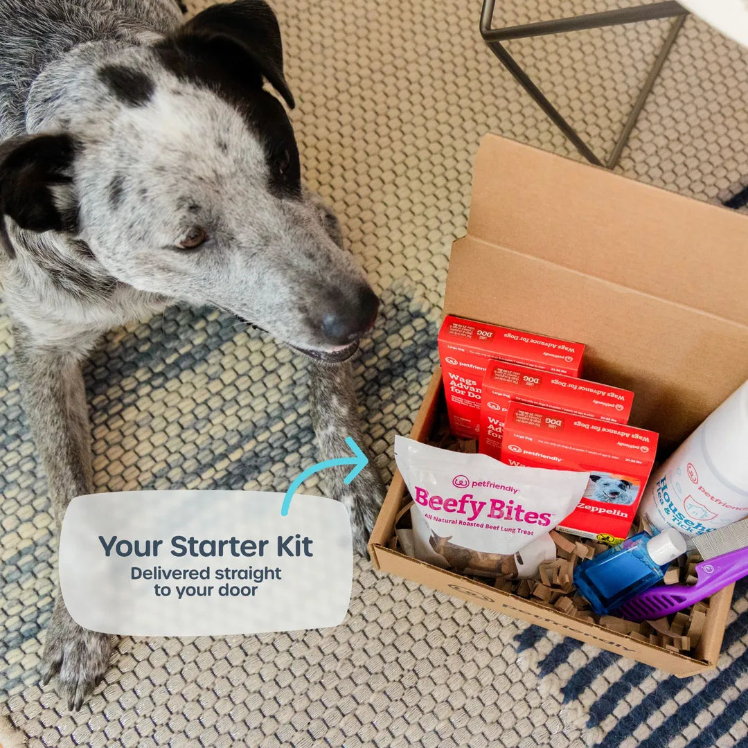 Dog Starter Kit