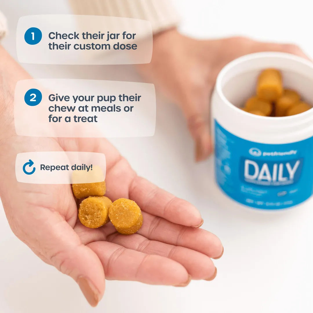 Daily Supplement