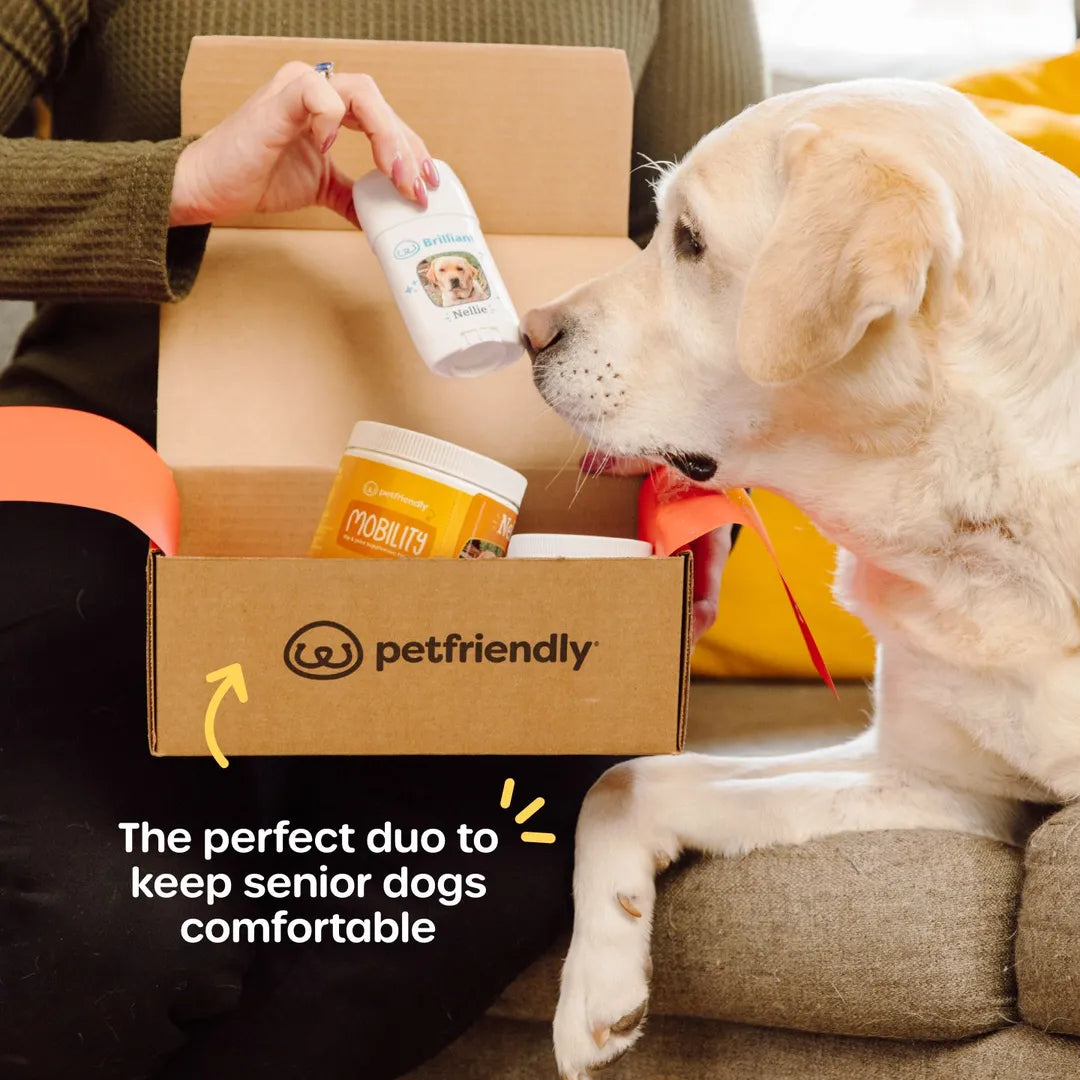 Senior Dog Care Duo