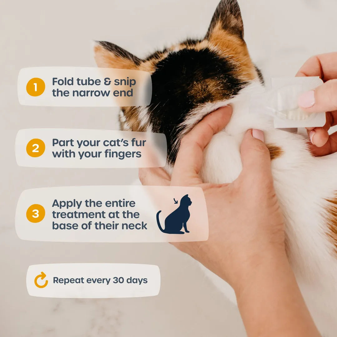 Purrs Advance®