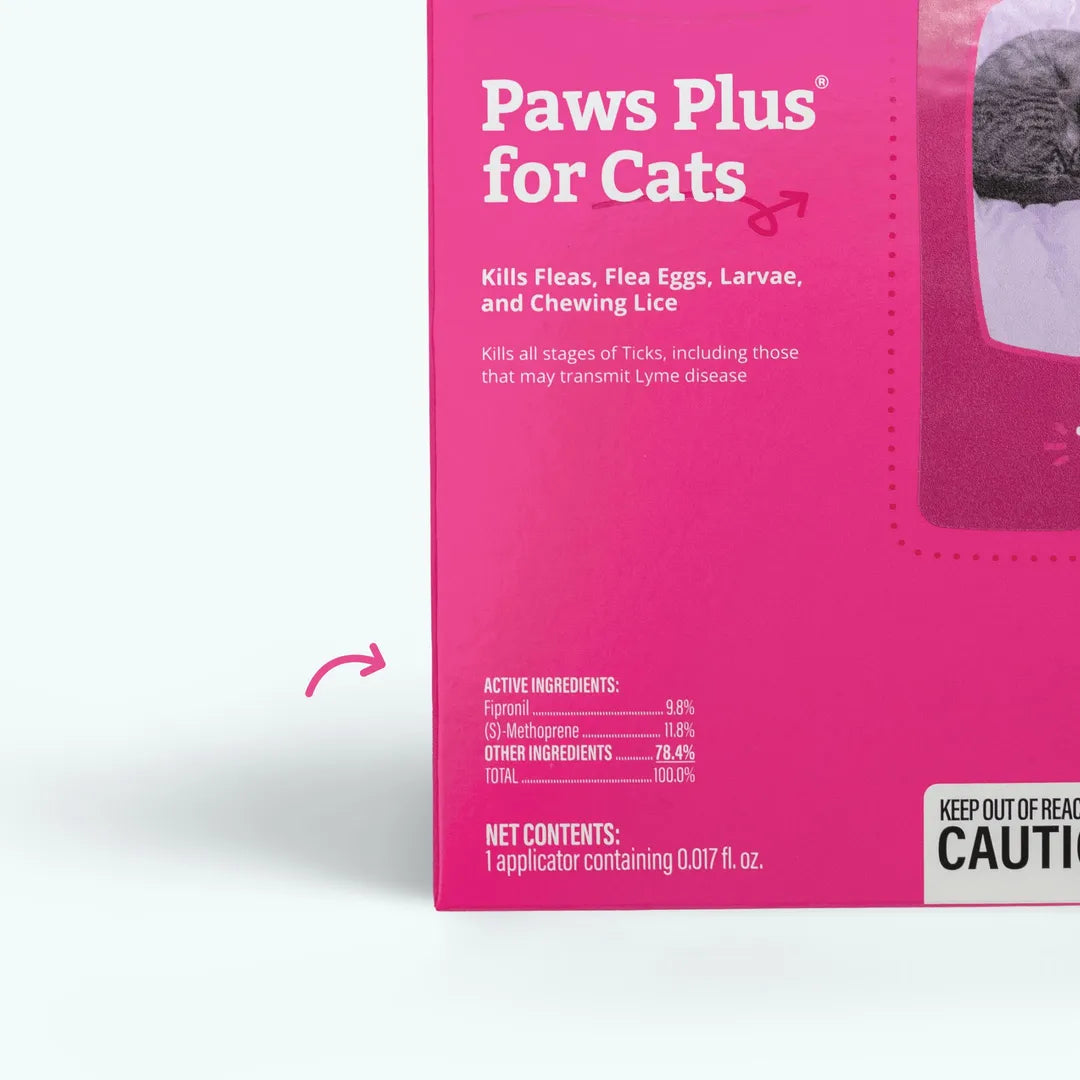 Cat Starter Kit
