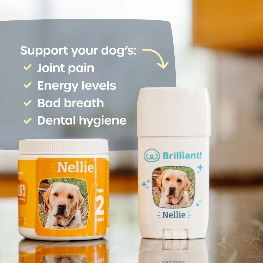Senior Dog Care Duo