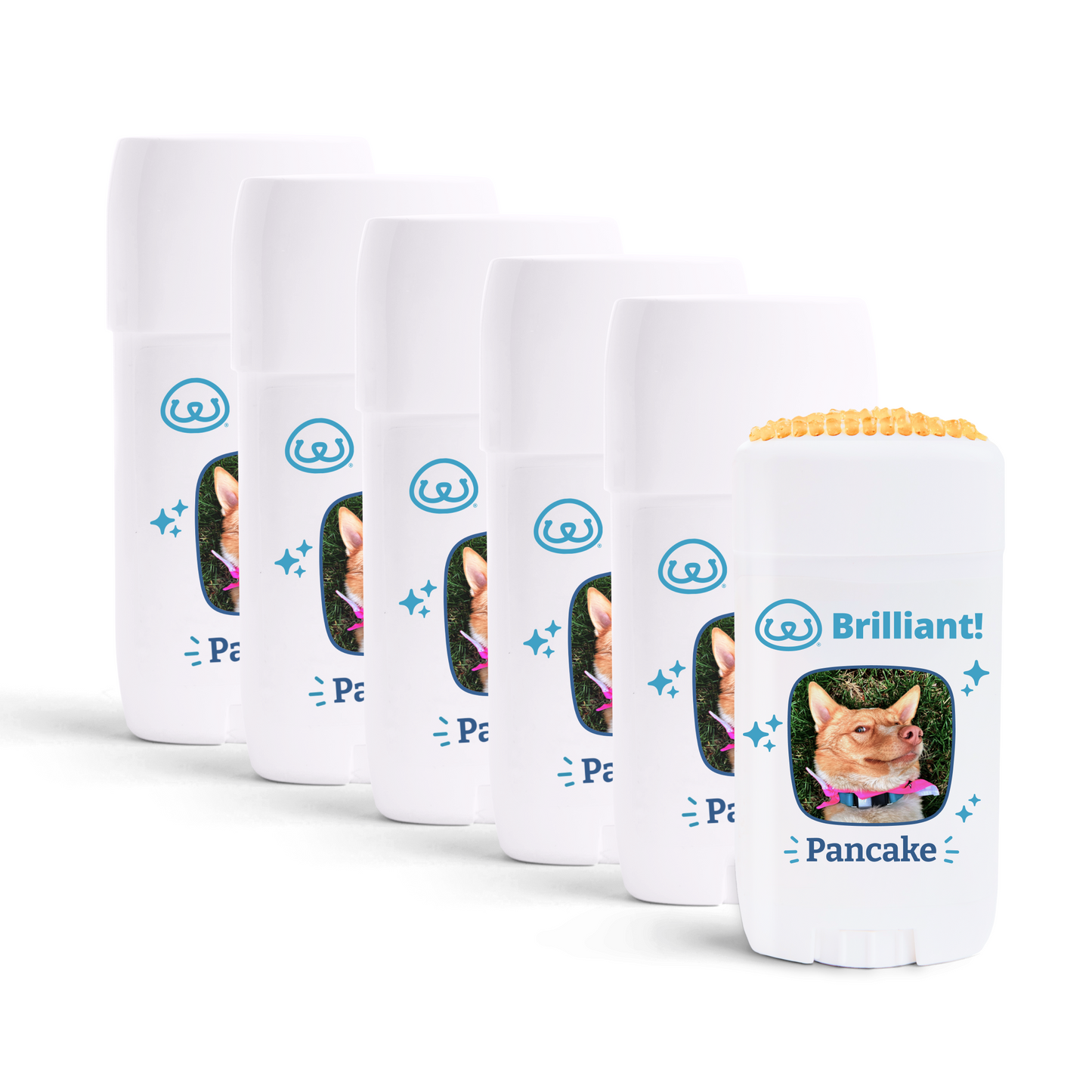 Brilliant!™ Dental Care for Dogs 6-Pack