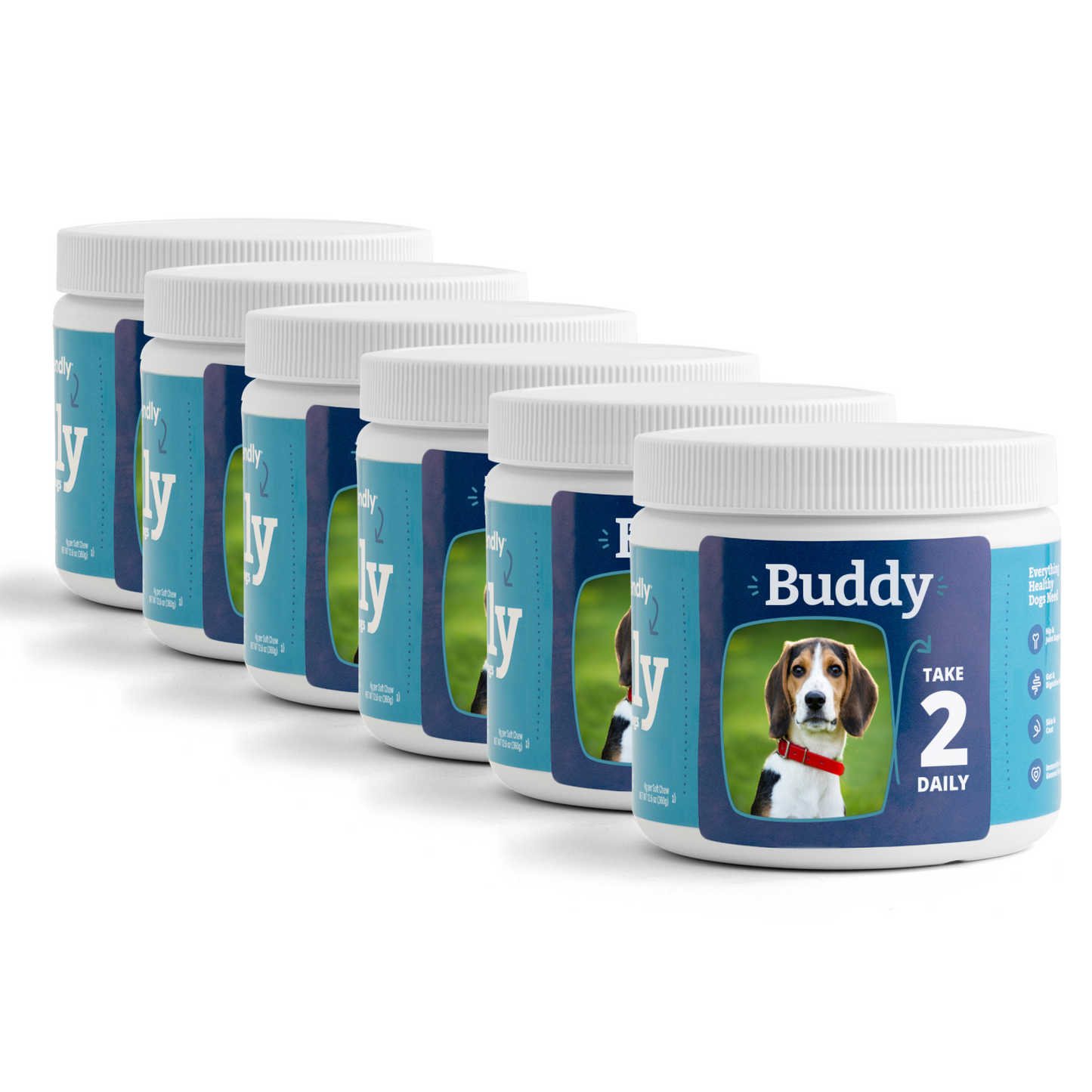 Daily Supplement for Medium Dogs 6-Pack