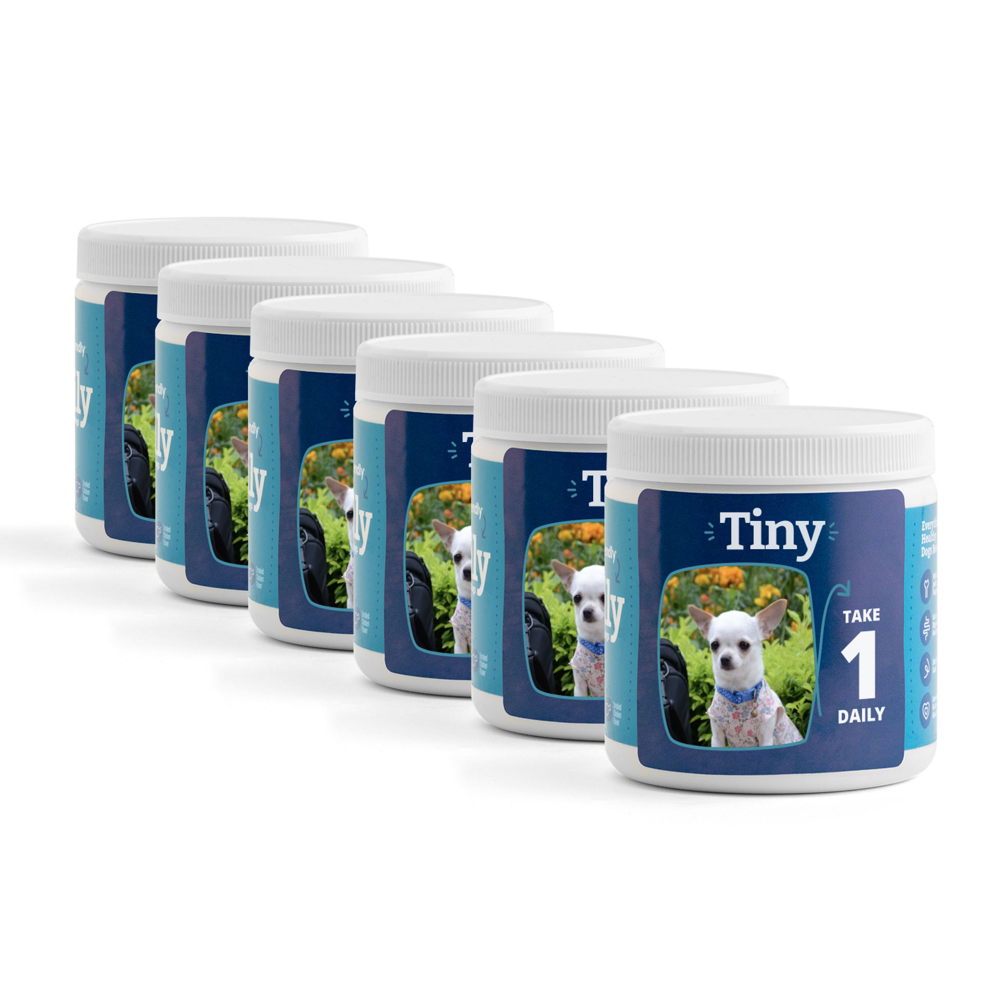 Daily Supplement for Small Dogs 6-Pack