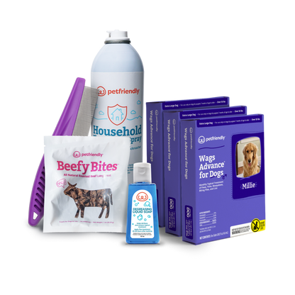 Flea Prevention Starter Kit for Dogs - Extra Large