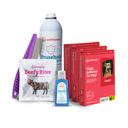 Flea Prevention Starter Kit for Dogs - Large