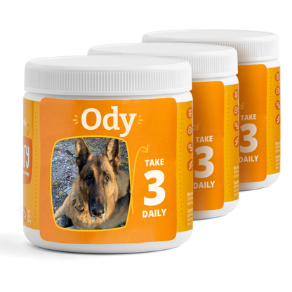 Mobility Supplement for Dogs - Large