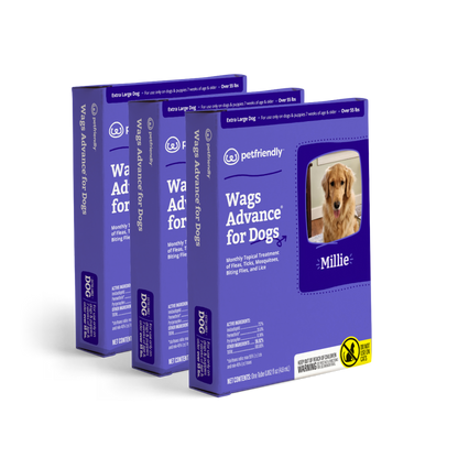 Wags Advance® for Dogs - Large - 3-pack