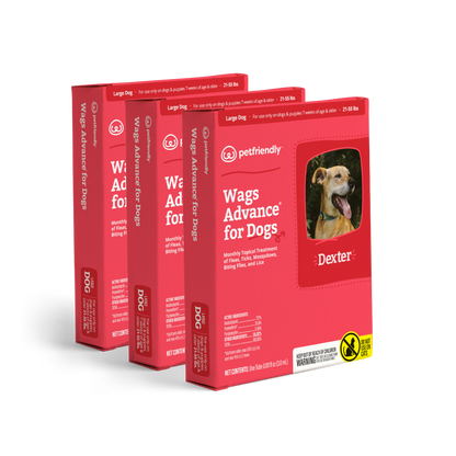 Wags Advance® for Dogs - Large - 3-pack
