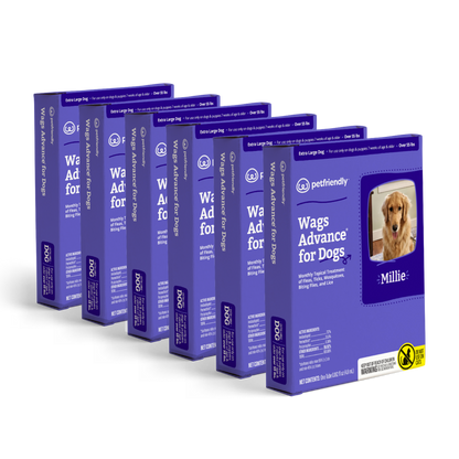 Wags Advance® for Dogs - XL - 6-pack