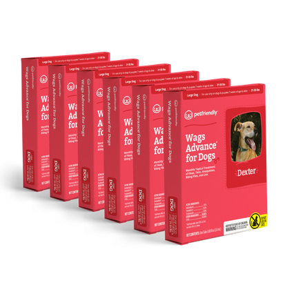 Wags Advance® for Dogs - Large - 6-pack