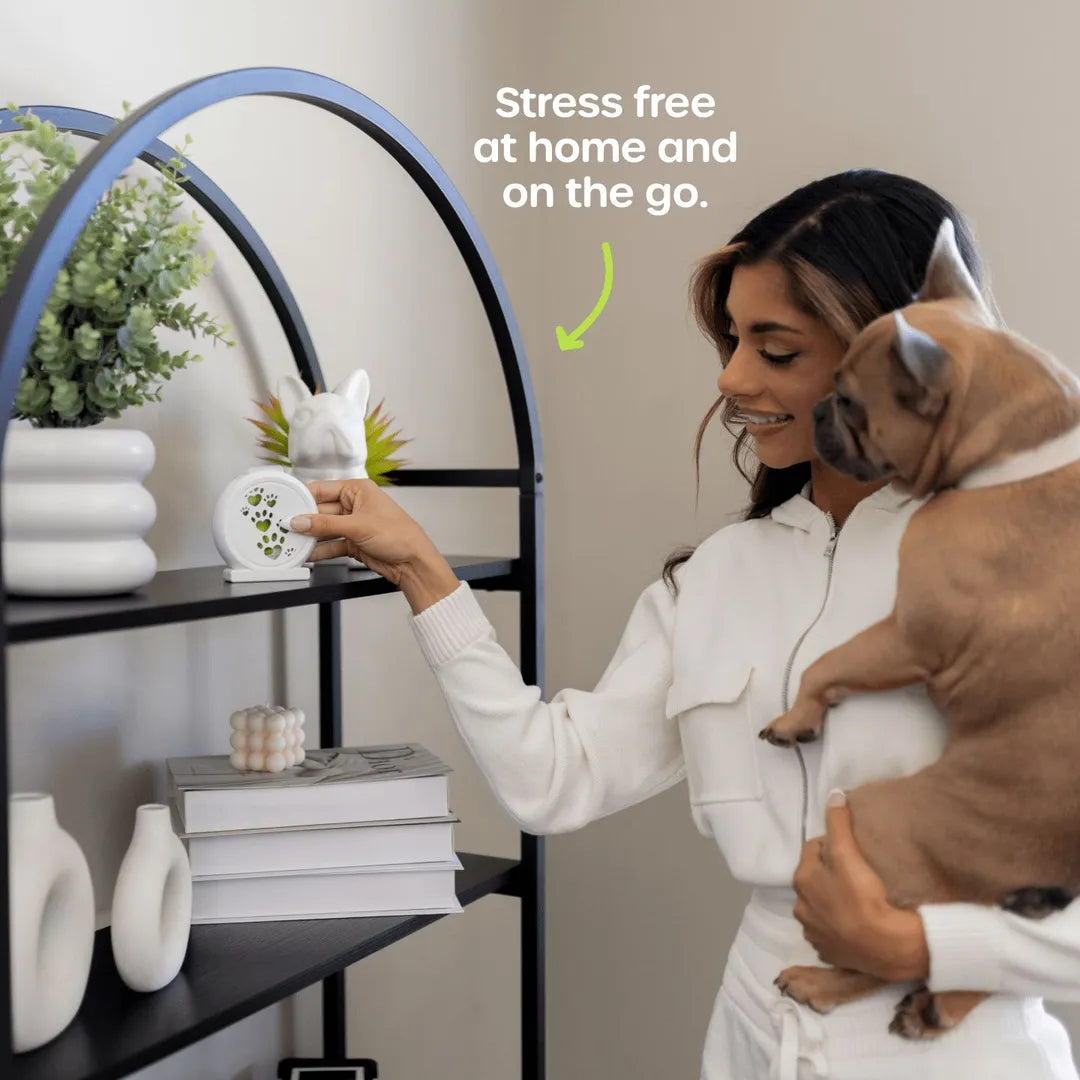 Mellow Out Bundle