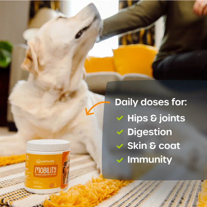 Mobility Supplement