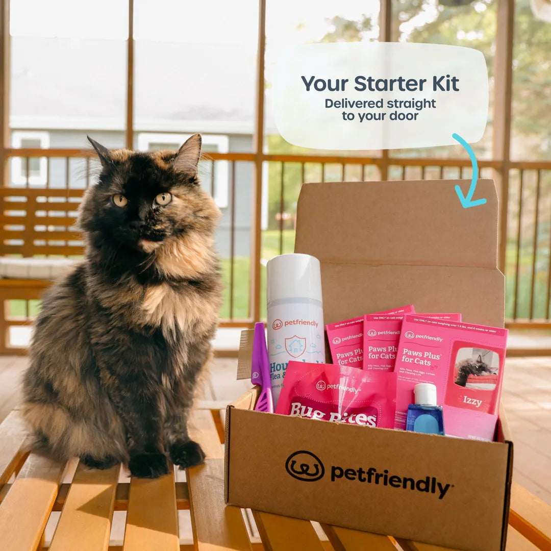 Cat Starter Kit