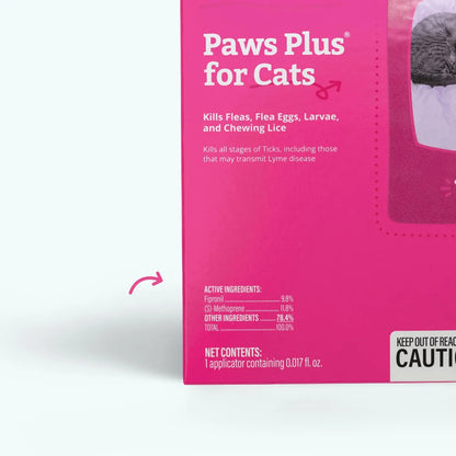Cat Starter Kit