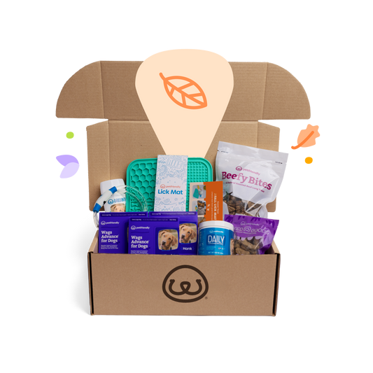 Fall Seasonal Box